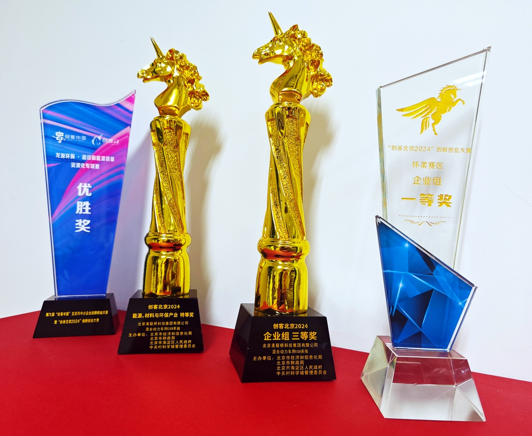 ˹ؿƼųȻ춯EGRϵͳĿͱ2024չǿΧ й2024 